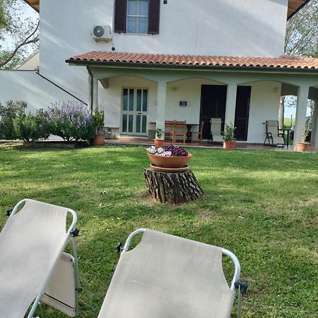 Agriturismo Uliveto Gretacci Montemerano Exterior foto