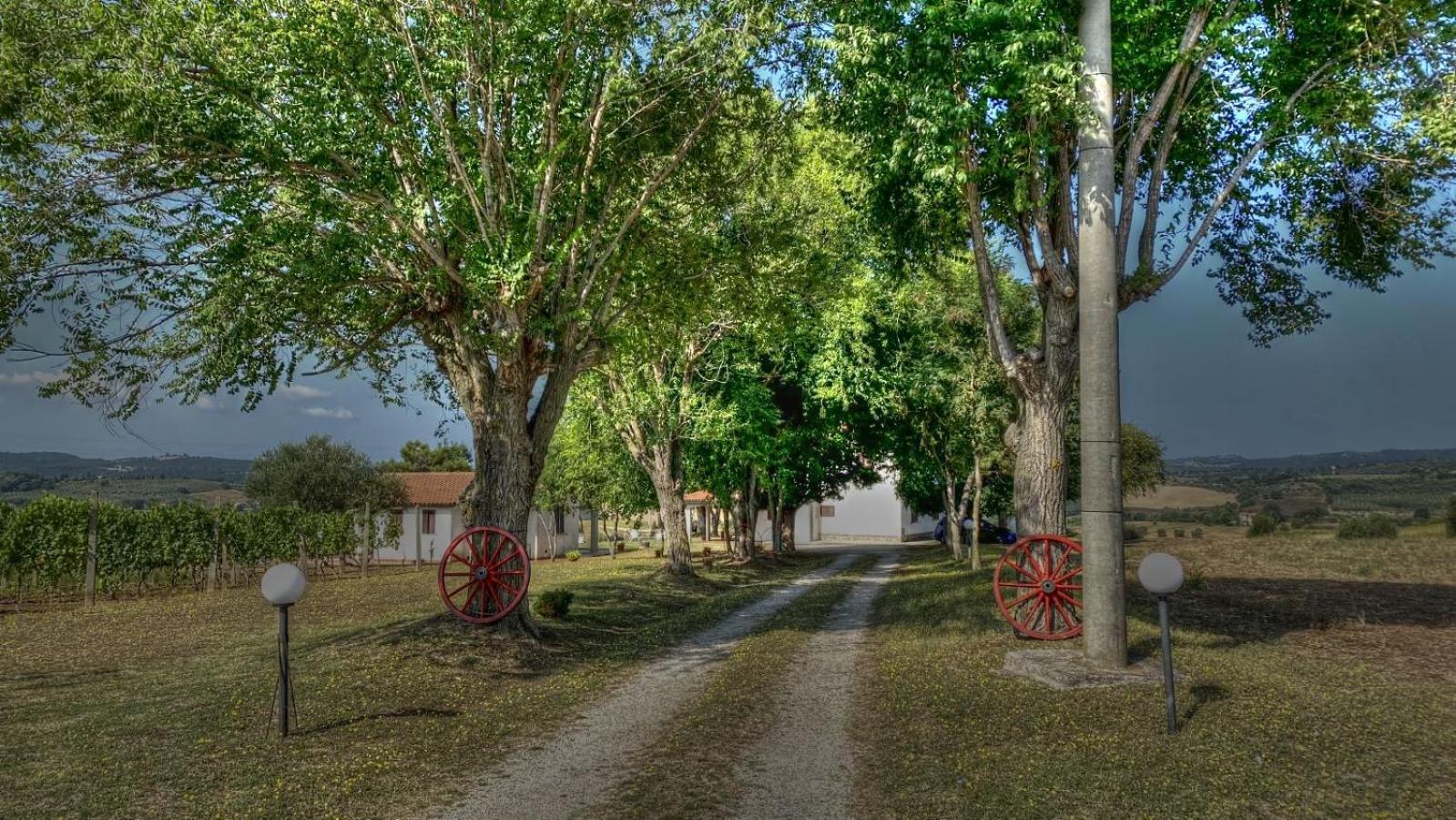 Agriturismo Uliveto Gretacci Montemerano Exterior foto